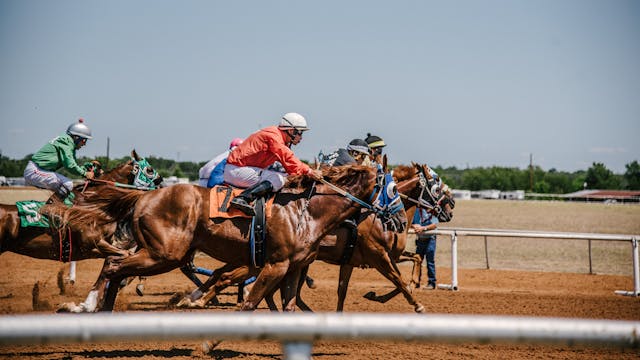 Horse Racing Horse Racing